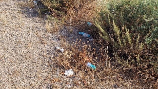 El PSOE exige a Fulgencio Gil una intervención urgente para la recogida de basuraleza abandonada en los aledaños del castillo - 1, Foto 1