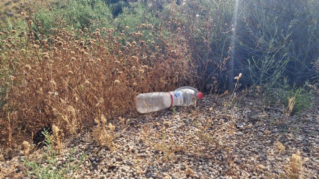 El PSOE exige a Fulgencio Gil una intervención urgente para la recogida de basuraleza abandonada en los aledaños del castillo - 2, Foto 2