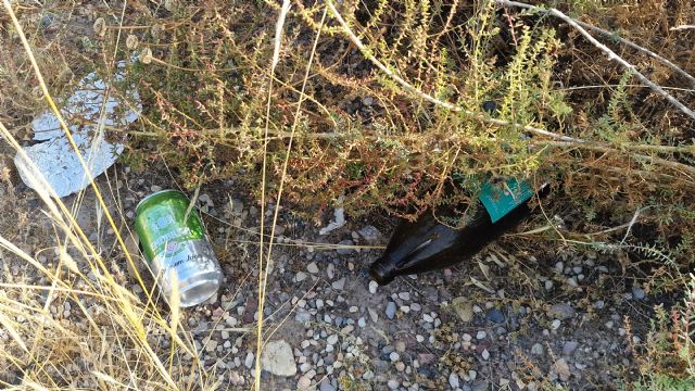 El PSOE exige a Fulgencio Gil una intervención urgente para la recogida de basuraleza abandonada en los aledaños del castillo - 3, Foto 3
