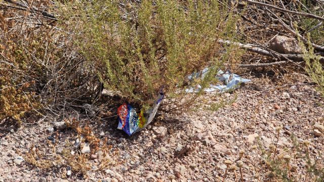El PSOE exige a Fulgencio Gil una intervención urgente para la recogida de basuraleza abandonada en los aledaños del castillo - 4, Foto 4