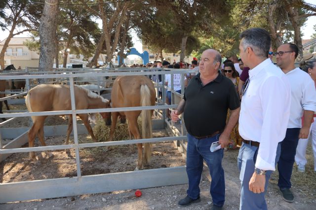 La CCXXVII Real reúne a más de una veintena de ganaderos en San Pedro del Pinatar - 3, Foto 3