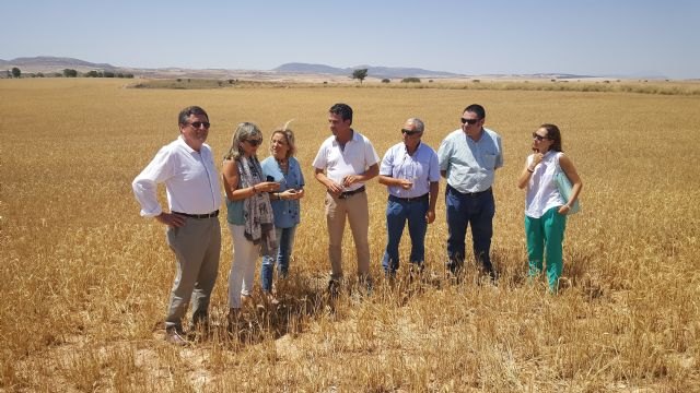 La consejería de Agua publicará la próxima semana los beneficiarios de las ayudas para fomentar la protección de las aves esteparias - 1, Foto 1