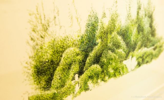 La exposición Hortvs muestra jardines en movimiento en el Museo Teatro Romano - 1, Foto 1