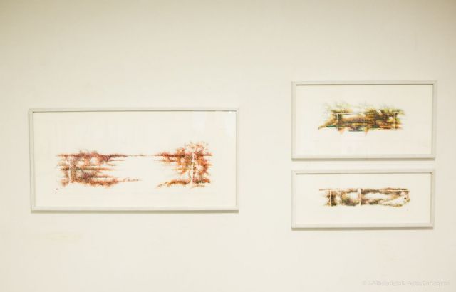 La exposición Hortvs muestra jardines en movimiento en el Museo Teatro Romano - 3, Foto 3