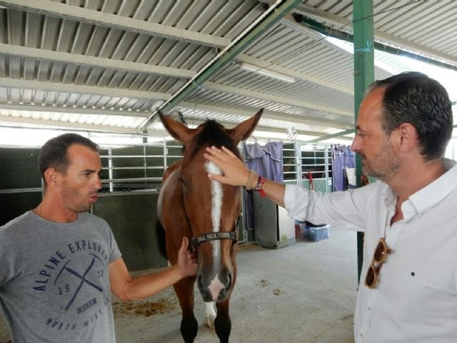 600 jinetes nacionales e internacionales participan en la ´VIII Summer Cup´ del club de hípico Aros - 2, Foto 2