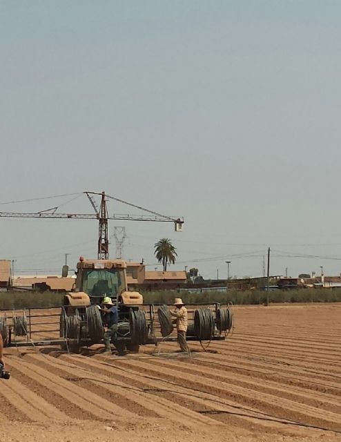 Francisco Calderón lamenta que la falta de riego haya llegado a la cabeza de la ministra de Agricultura - 1, Foto 1
