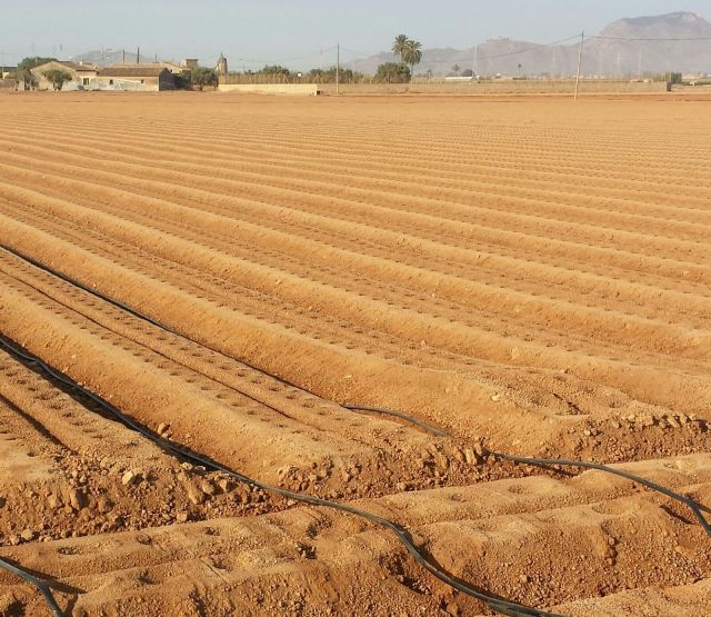 Francisco Calderón lamenta que la falta de riego haya llegado a la cabeza de la ministra de Agricultura - 3, Foto 3