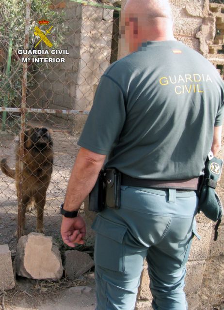 La Guardia Civil investiga a un vecino de Águilas por delito de abandono animal - 2, Foto 2
