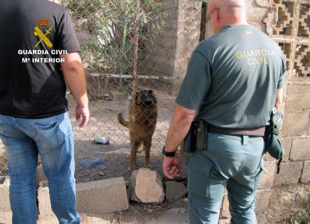 La Guardia Civil investiga a un vecino de Águilas por delito de abandono animal - 3, Foto 3