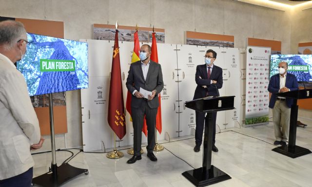 Ayuntamiento y LG colaborarán en la reforestación de 450 hectáreas de zonas verdes gracias a La Unión del Plan Foresta y el movimiento Smart Green - 2, Foto 2