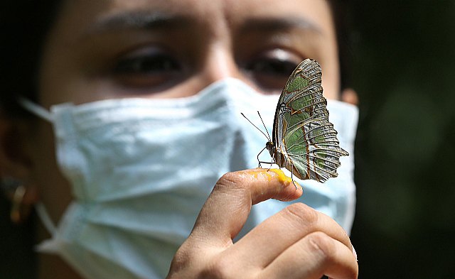 BBVA concede a CAF un préstamo bilateral para la lucha contra el COVID-19 en América Latina - 1, Foto 1