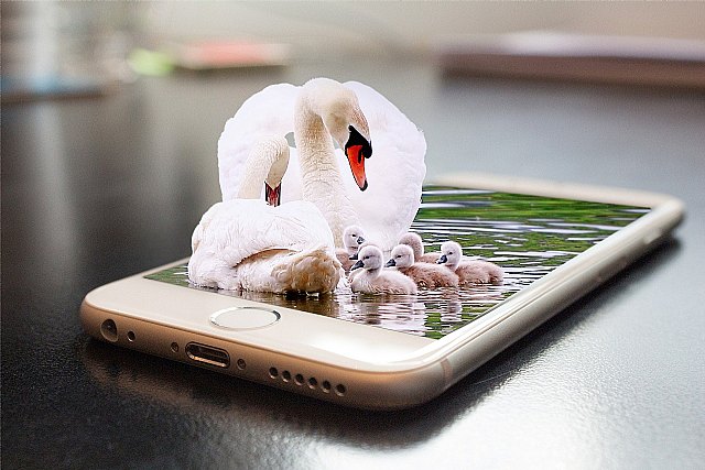 Este verano, los niños bucean más en las piscinas que en Internet - 1, Foto 1
