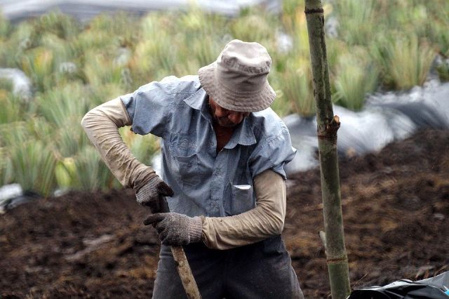 Unión de Uniones echa en cara a Trabajo que siga poniendo al campo en el centro de la diana de sus inspecciones - 1, Foto 1