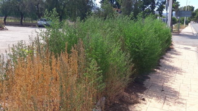 Fulgencio Gil consigue el apoyo y compromiso unánime del Pleno del Ayuntamiento para ejecutar una batería de mejoras en la pedanía de Purias - 4, Foto 4