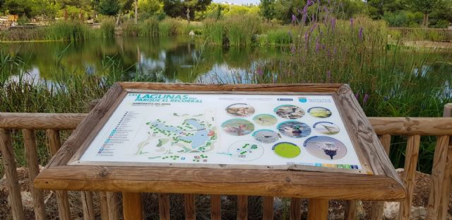 Hidrogea muestra al alcalde Luengo el parque inundable de la laguna de La Mata como solución a la llegada de aguas pluviales al Mar Menor en los periodos de fuertes lluvias - 4, Foto 4