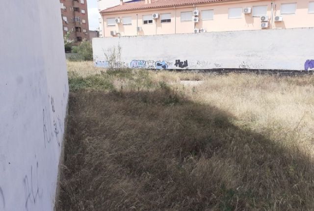 El Pleno vota mañana la ordenanza que regulará la limpieza de solares y parcelas privadas en el municipio - 3, Foto 3