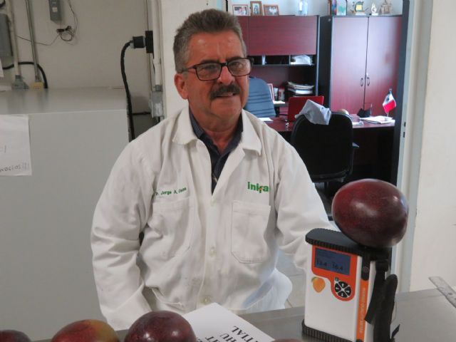 Las mejores prácticas de empacado del mango para exportación: Un Valor Añadido que impulsa el consumo de mangos de calidad en Estados Unidos - 1, Foto 1