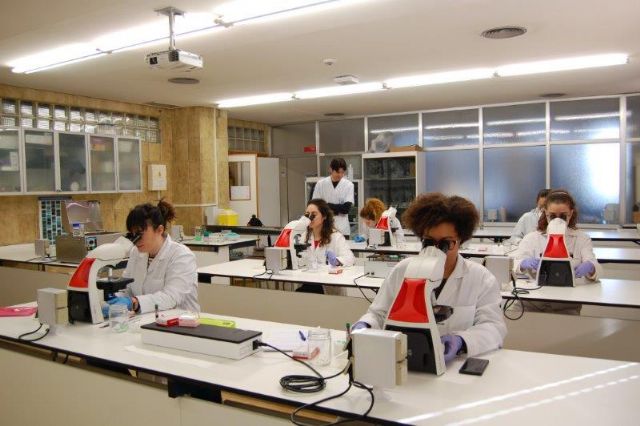 Un máster de la UMU, entre los estudios de postgrado en biología y medicina reproductiva con mayor impacto - 1, Foto 1