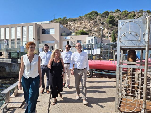 El CIFP Hespérides ofrece por primera vez en la Región el título de Técnico Deportivo en Buceo - 3, Foto 3