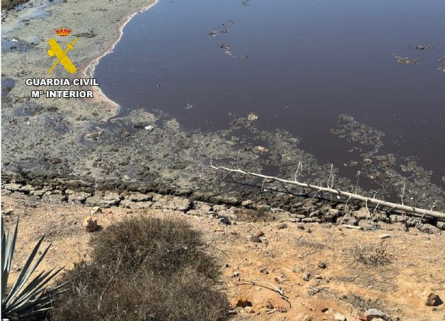 La Guardia Civil investiga en Murcia a cuatro ganaderos por el vertido ilegal de purines - 2, Foto 2