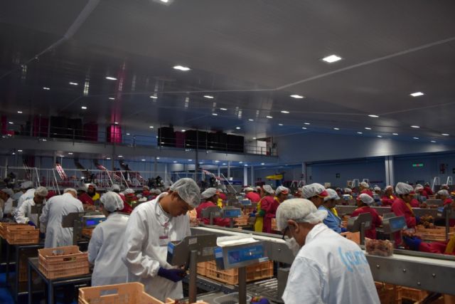 Moyca refuerza su compromiso con la inclusión laboral con la integración de 18 personas con discapacidad - 2, Foto 2