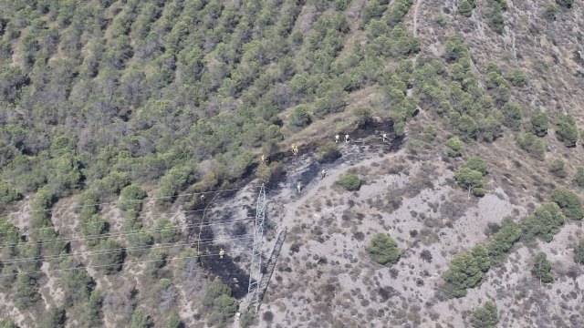Conato de incendio forestal cerca de A-7, término municipal de Lorca - 1, Foto 1