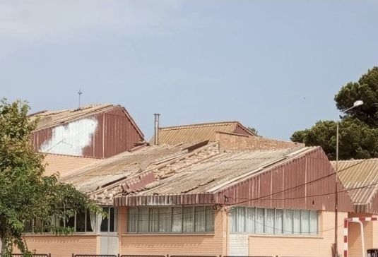 Denuncian el riesgo para una colonia de vencejos durante las obras de retirada de amianto en un colegio de San Javier