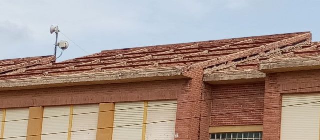 Denuncian el riesgo para una colonia de vencejos durante las obras de retirada de amianto en un colegio de San Javier - 2, Foto 2