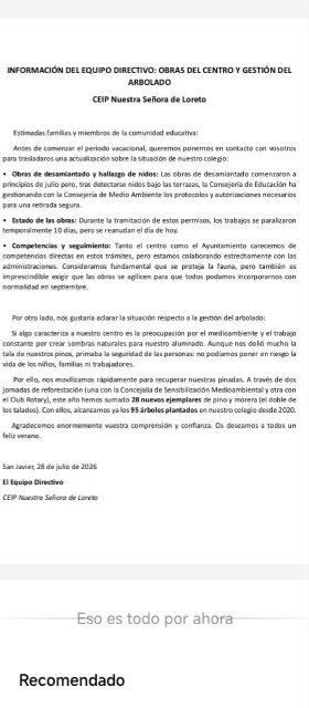 Denuncian el riesgo para una colonia de vencejos durante las obras de retirada de amianto en un colegio de San Javier - 3, Foto 3