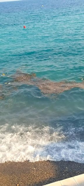 El PCAN denuncia el enfado de los bañistas por la gran suciedad que presenta el agua de la playa de El Portús - 2, Foto 2