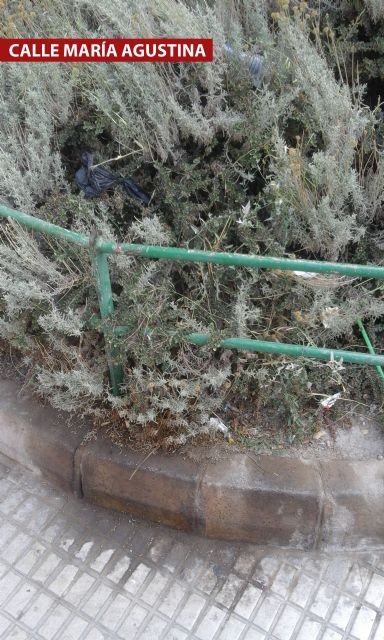 IU critica que las aceras de Lorca se parezcan más a letrinas que a zonas de paso - 2, Foto 2