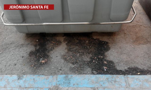 IU critica que las aceras de Lorca se parezcan más a letrinas que a zonas de paso - 3, Foto 3