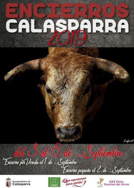 El matador de toros Luis Francisco Esplá pregonará la XXX Feria Taurina del Arroz de Calasparra. - 1, Foto 1