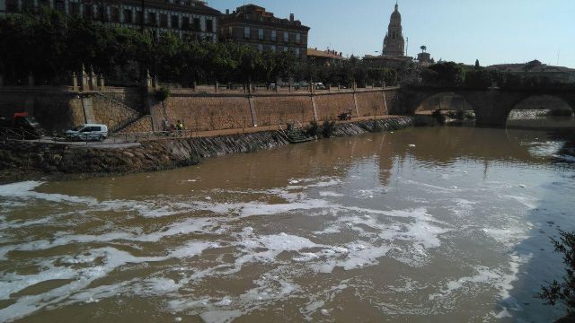 Huermur denuncia en la CHS y en la Consejería de Medio Ambiente las espumas aparecidas hoy en el Segura - 1, Foto 1