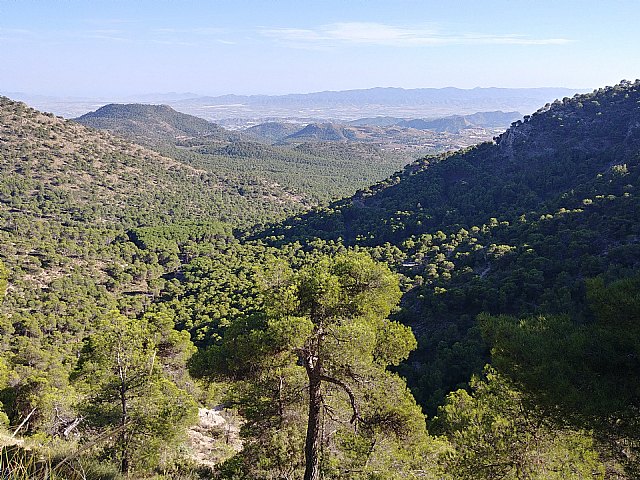 Rescatan a una senderista accidentada en Sierra Espua, Foto 1