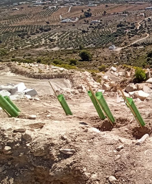 El Centro Tecnológico del Mármol recupera la flora y fauna en canteras a cielo abierto con técnicas científicas del proyecto BioReStone aplicables en explotaciones extractivas - 1, Foto 1