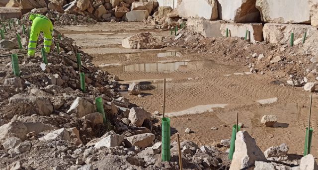 El Centro Tecnológico del Mármol recupera la flora y fauna en canteras a cielo abierto con técnicas científicas del proyecto BioReStone aplicables en explotaciones extractivas - 2, Foto 2