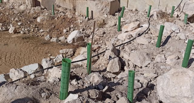 El Centro Tecnológico del Mármol recupera la flora y fauna en canteras a cielo abierto con técnicas científicas del proyecto BioReStone aplicables en explotaciones extractivas - 3, Foto 3
