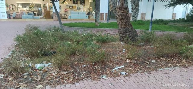 El PP exige la puesta a punto de las zonas verdes de Murcia y sus pedanías antes del comienzo del curso y  las fiestas de septiembre - 1, Foto 1