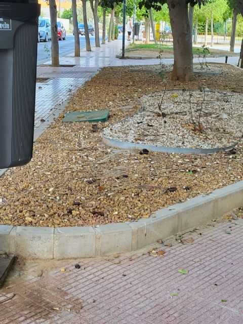 El PP exige la puesta a punto de las zonas verdes de Murcia y sus pedanías antes del comienzo del curso y  las fiestas de septiembre - 2, Foto 2