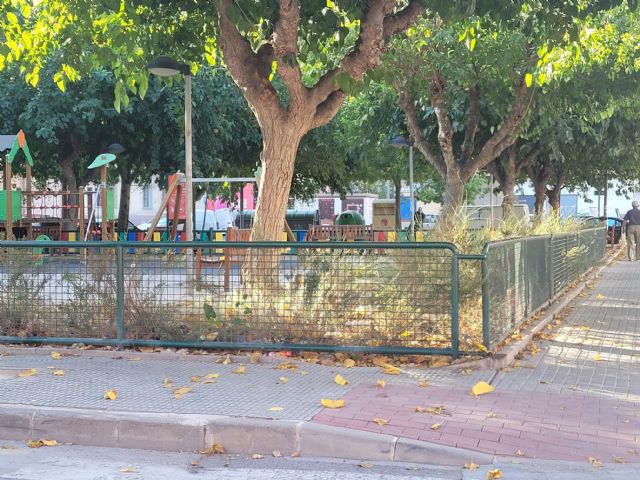 El PP exige la puesta a punto de las zonas verdes de Murcia y sus pedanías antes del comienzo del curso y  las fiestas de septiembre - 3, Foto 3