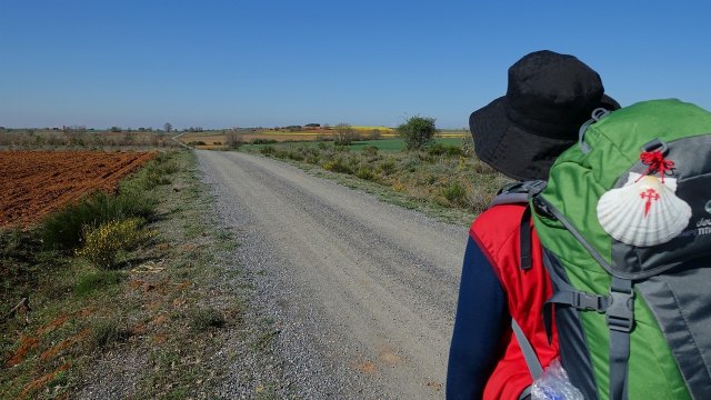 Orbis Ways, la agencia de viajes que transforma la experiencia del Camino de Santiago - 1, Foto 1