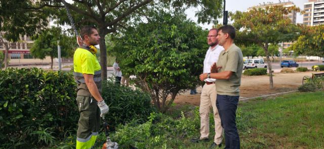 El Ayuntamiento de Murcia refuerza el Plan Especial de Verano con la poda de setos en más de 230.000m2 del municipio - 1, Foto 1