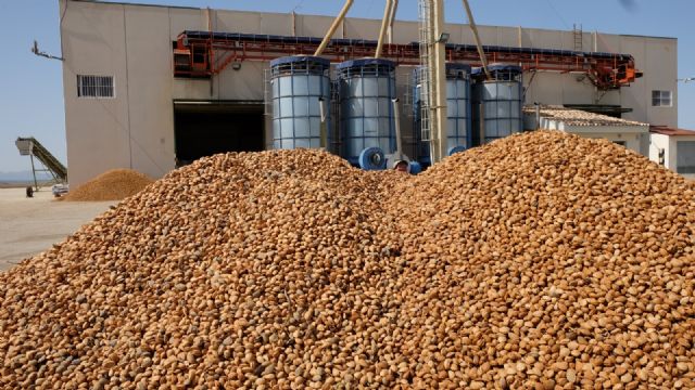 Fecoam alerta del riesgo para los productores de frutos secos ante los aranceles norteamericanos - 1, Foto 1