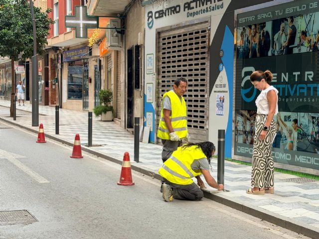 La Brigada de Intervención Rápida actúa en más de 800 incidencias en el municipio en lo que va de año - 2, Foto 2