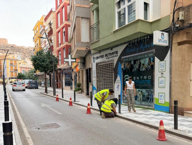 La Brigada de Intervención Rápida actúa en más de 800 incidencias en el municipio en lo que va de año - 5, Foto 5