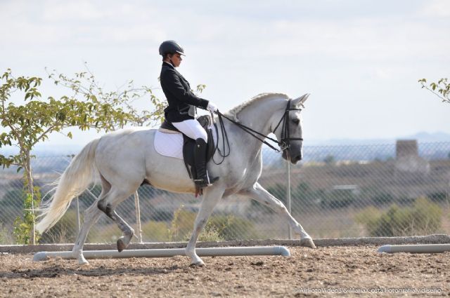 Los Puertos de Santa Bárbara fueron escenario de una competición hípica de Doma Clásica y Alta Escuela - 1, Foto 1