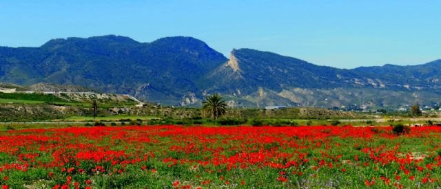 Propuesta de IU-V al pleno para que Lorca se oferte como municipio de cine - 1, Foto 1
