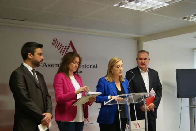 El PSOE reclama que se incluya el cribado neonatal de las inmunodeficiencias graves en los hospitales de la Región - 1, Foto 1