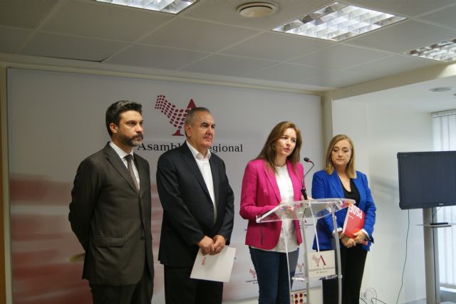 El PSOE reclama que se incluya el cribado neonatal de las inmunodeficiencias graves en los hospitales de la Región - 2, Foto 2